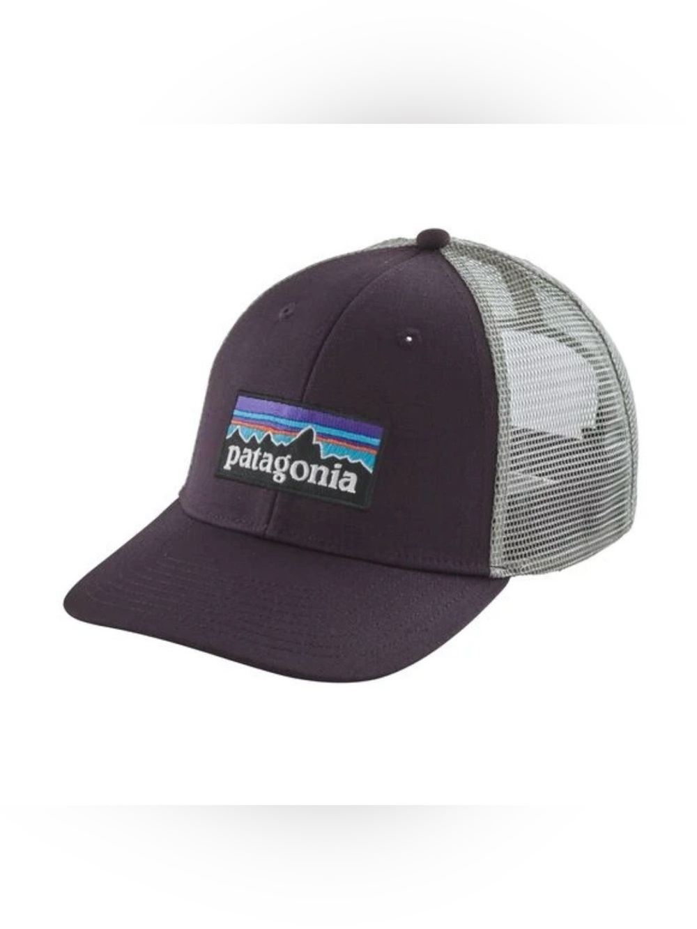 Patagonia P-6 Logo LoPro Trucker Hat